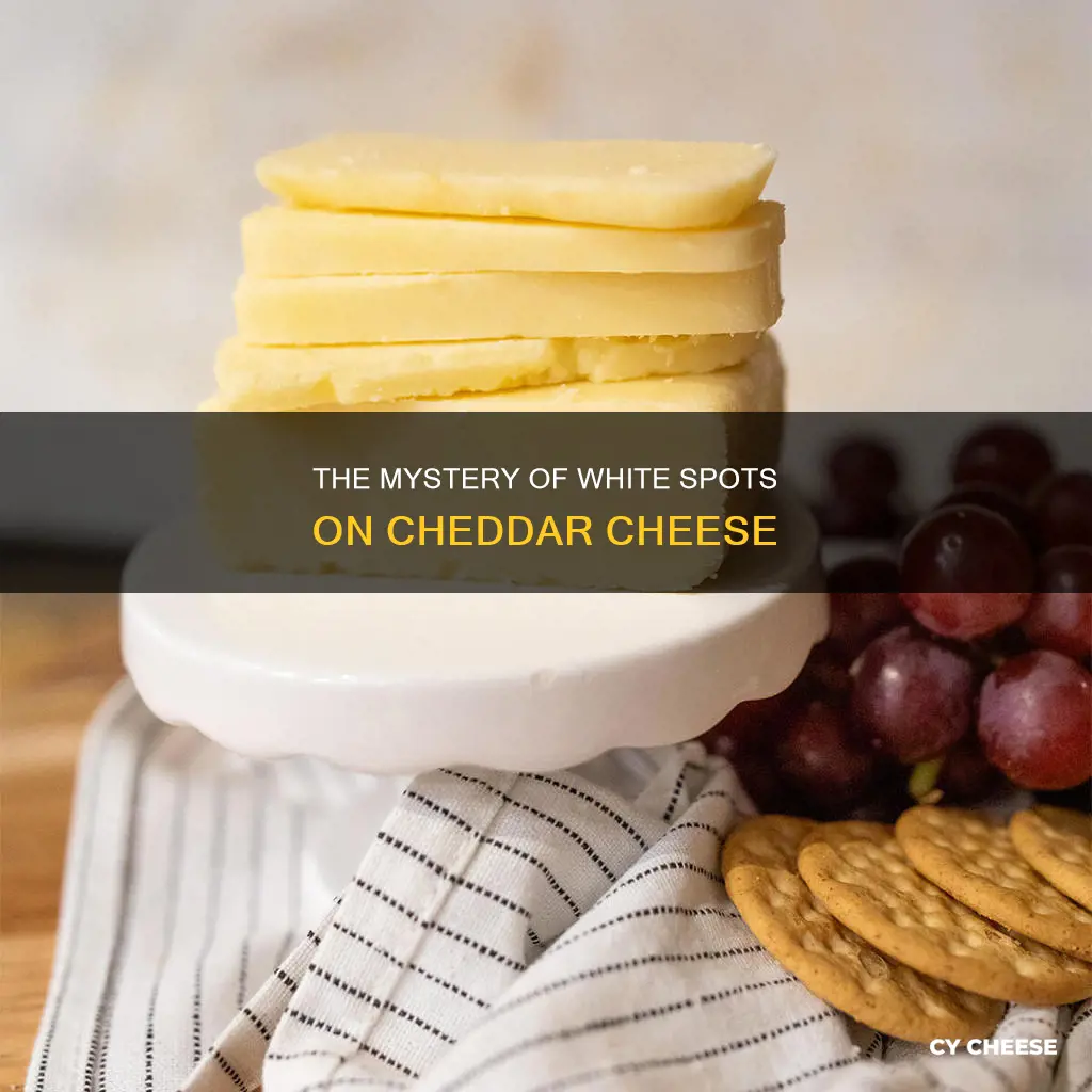 what are the white spots on cheddar cheese