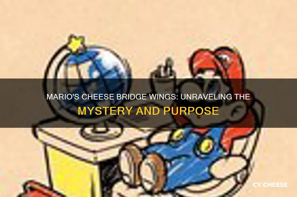 what are the wings on mario cheese bridge