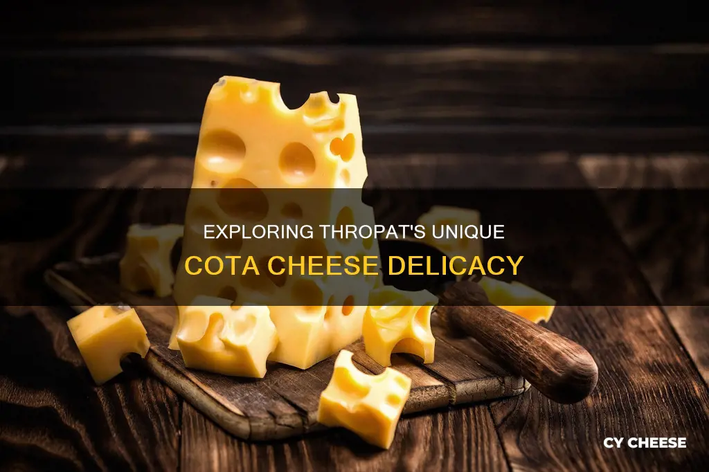 what are those cota cheese like in the thropat