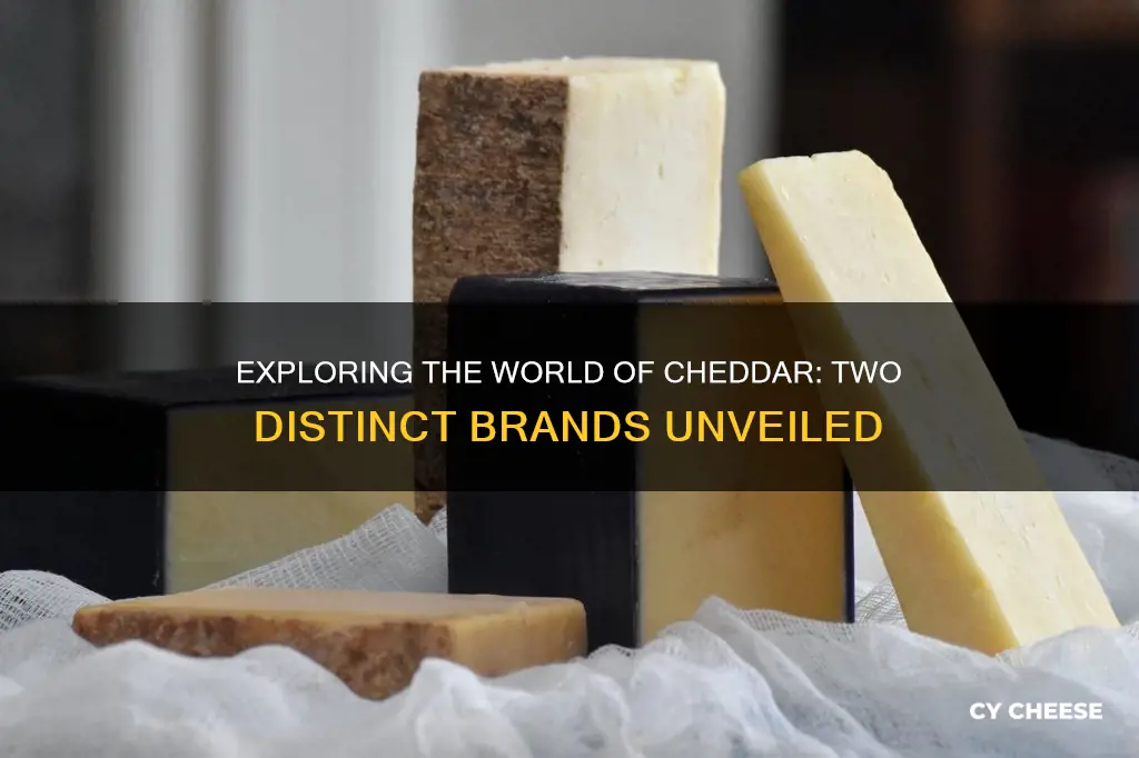 what are two different brands of cheddar cheese