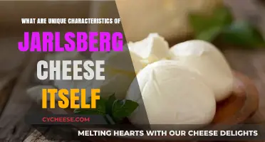 Distinctive Jarlsberg Cheese Traits: Flavor, Texture, and Hole Formation Explained