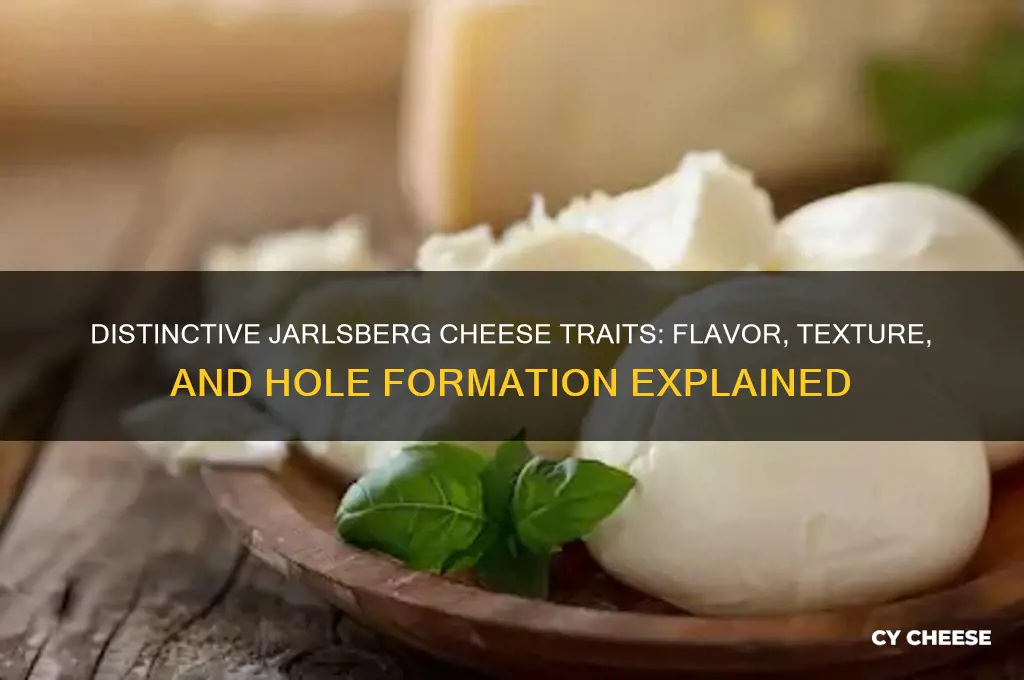what are unique characteristics of jarlsberg cheese itself