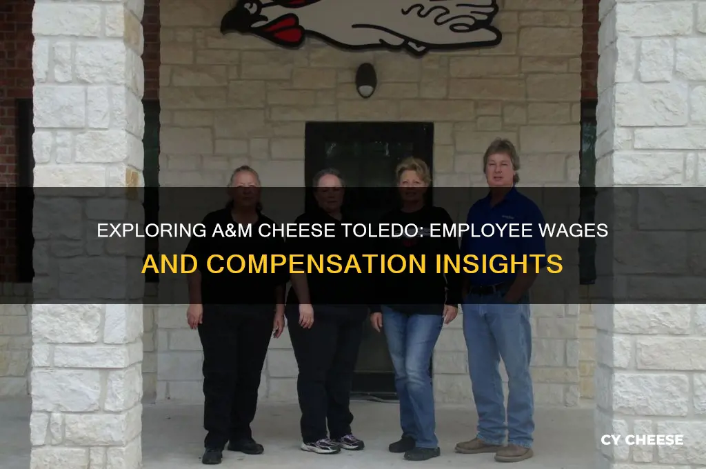 what are wages at a and m cheese toledo