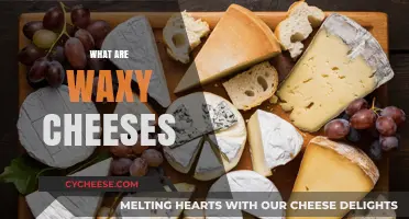Exploring Waxy Cheeses: Unique Texture, Flavor, and Culinary Uses
