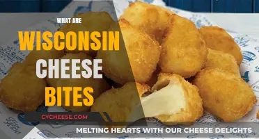Wisconsin Cheese Bites: A Tasty, Crunchy, Cheesy Snack Explained