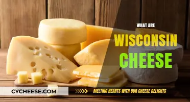 Exploring Wisconsin Cheese: Varieties, History, and Culinary Uses