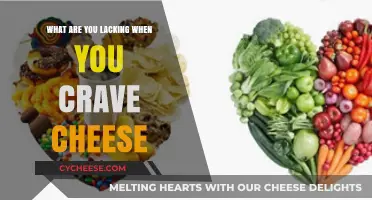 Why You Crave Cheese: Uncovering Nutrient Deficiencies Behind the Craving