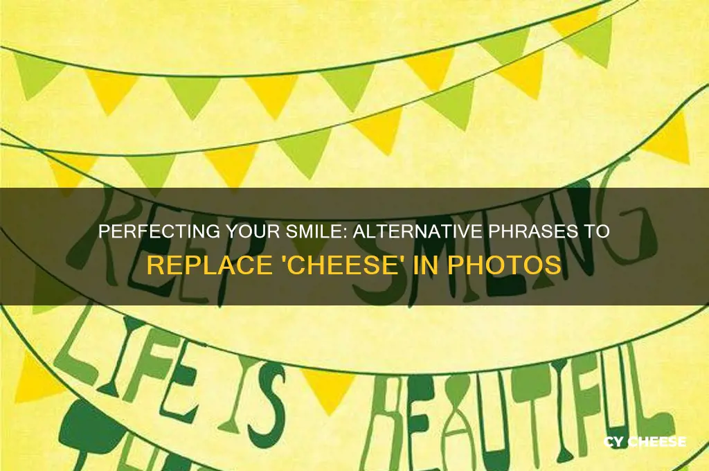 what are you supposed to say instead of cheese