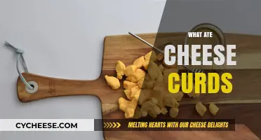 Discover the Squeaky Delight: What Are Cheese Curds and How to Enjoy Them