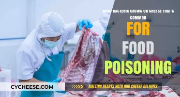 Cheese-Loving Bacteria: Common Culprits Behind Food Poisoning Risks