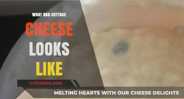 How to Spot Spoiled Cottage Cheese: Visual Signs of Bad Curds