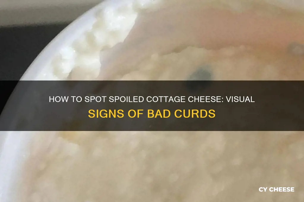 what bad cottage cheese looks like