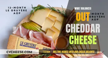 Enhancing Cheddar's Flavor: The Perfect Pairing Partners