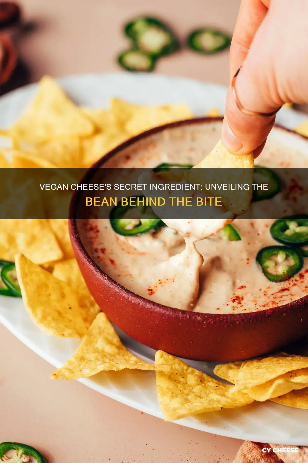 what bean is vegan cheese made from