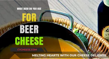 Best Beers for Beer Cheese: Choosing the Perfect Brew
