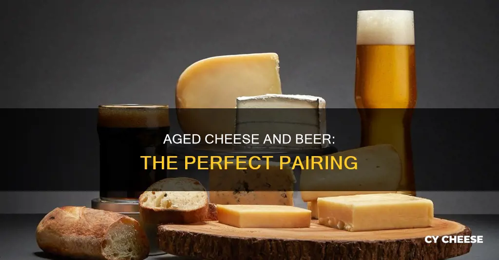 what beer goes well with aged cheese