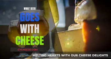 Cheese and Beer: Perfect Pairing for a Tasty Treat