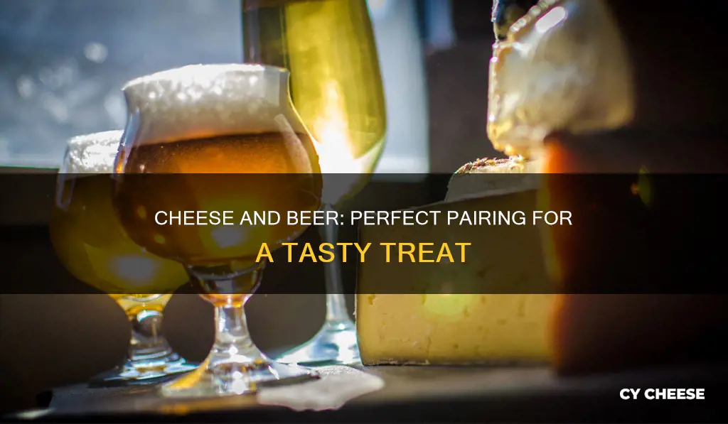 what beer goes with cheese