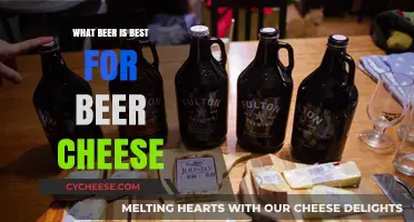 Best Brews for Beer Cheese: A Guide