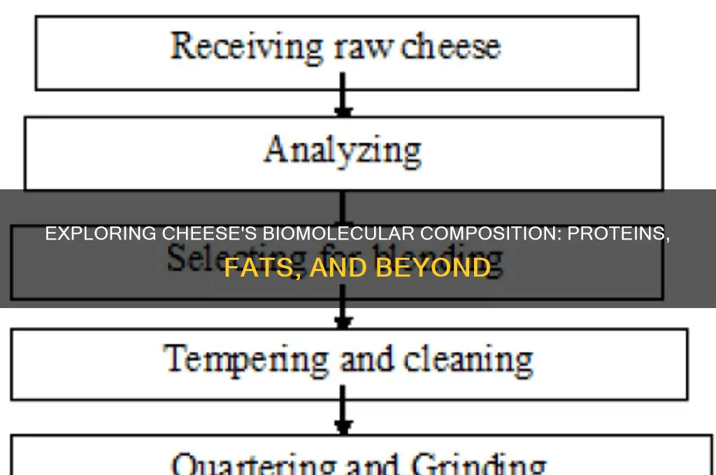 what biomolecule does cheese have
