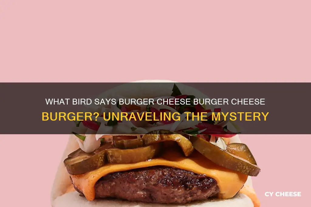 what bird says burger cheese burger cheese burger