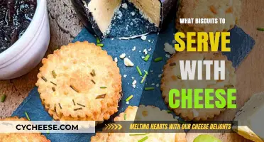 The Perfect Cheese Companion: Biscuit Selection Guide