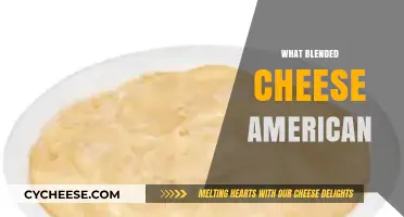 What is Blended American Cheese: Ingredients, Uses, and Popular Brands