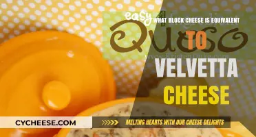 Discover the Best Block Cheese Alternatives to Velveeta for Melty Recipes