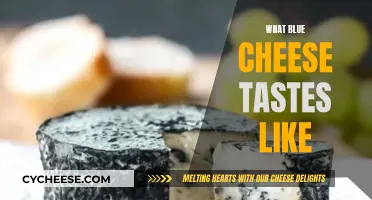 The Unique Taste of Blue Cheese