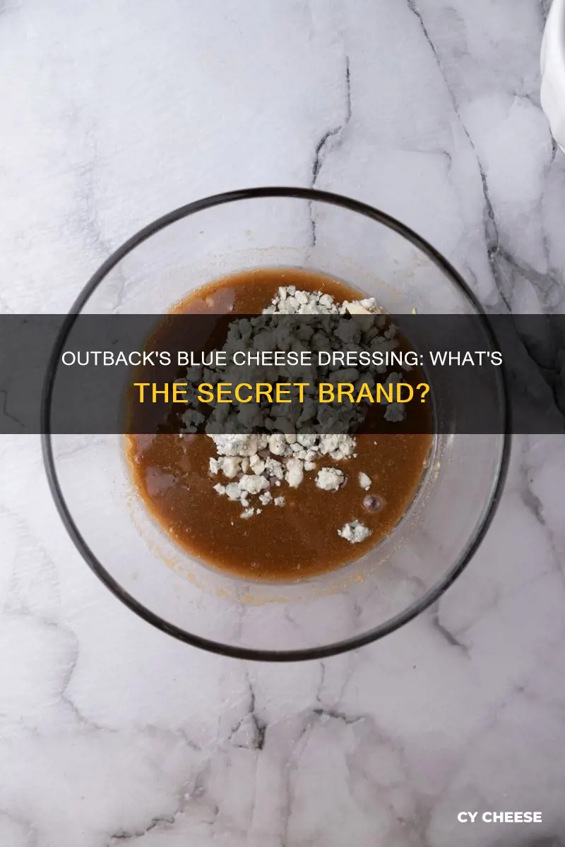 what brand blue cheese dressing does outback use