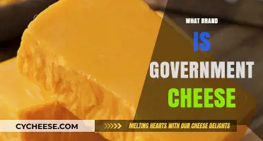 Unveiling the Mystery: What Brand is Government Cheese?
