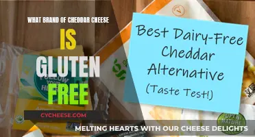 Gluten-Free Cheddar: Unlocking the Best Brands for Your Dietary Needs