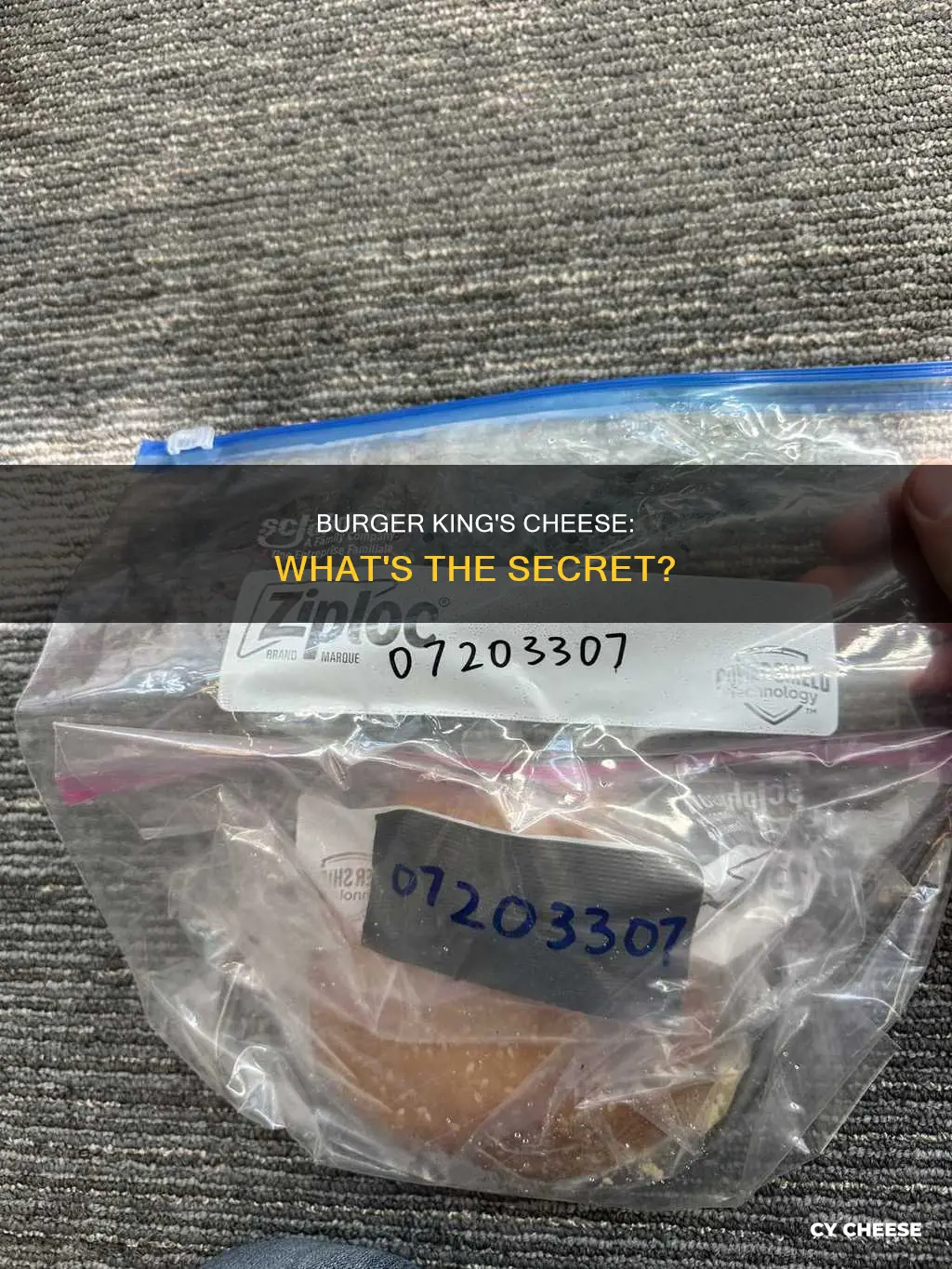 what brand of cheese burger king uses