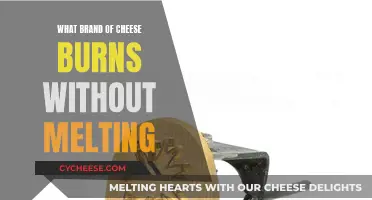 Cheeses That Resist Melting: Burning Without a Mess