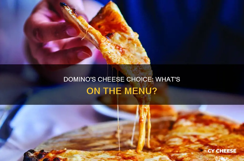 what brand of cheese does domino