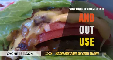 In-N-Out's Cheese: What's the Secret?