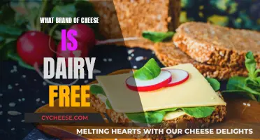 Dairy-Free Delights: Exploring Non-Dairy Cheese Brands