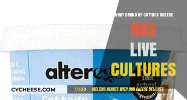 Discover Cottage Cheese Brands with Live Cultures for Gut Health