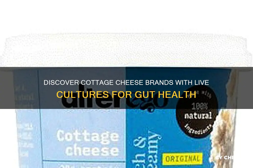 what brand of cottage cheese has live cultures