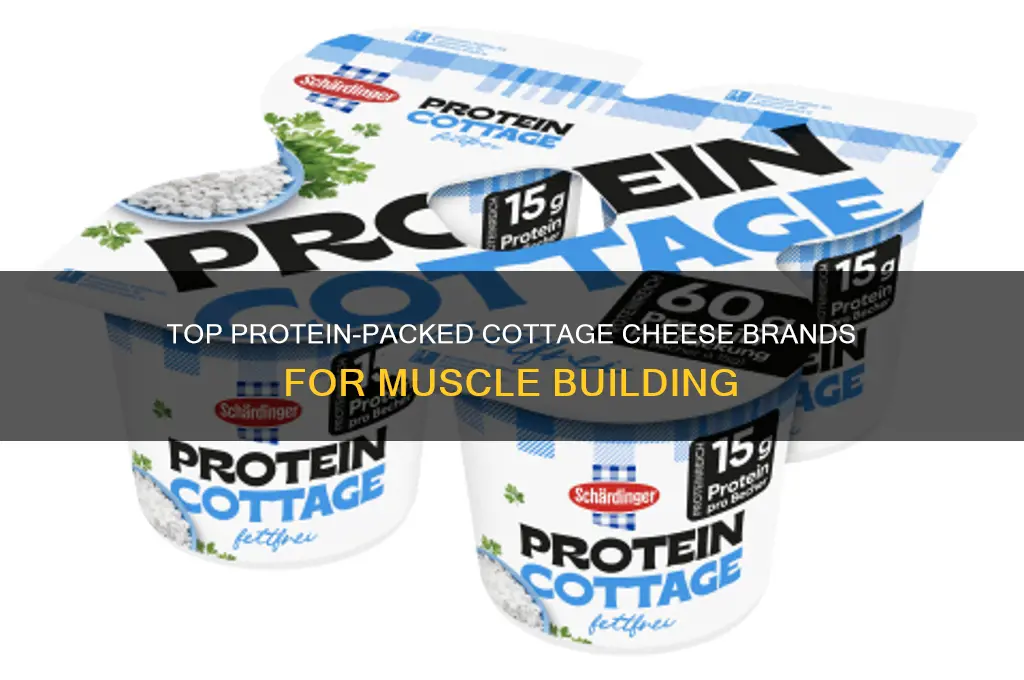what brand of cottage cheese has the most protein