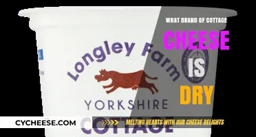 Discovering the Driest Cottage Cheese Brands: A Comprehensive Guide