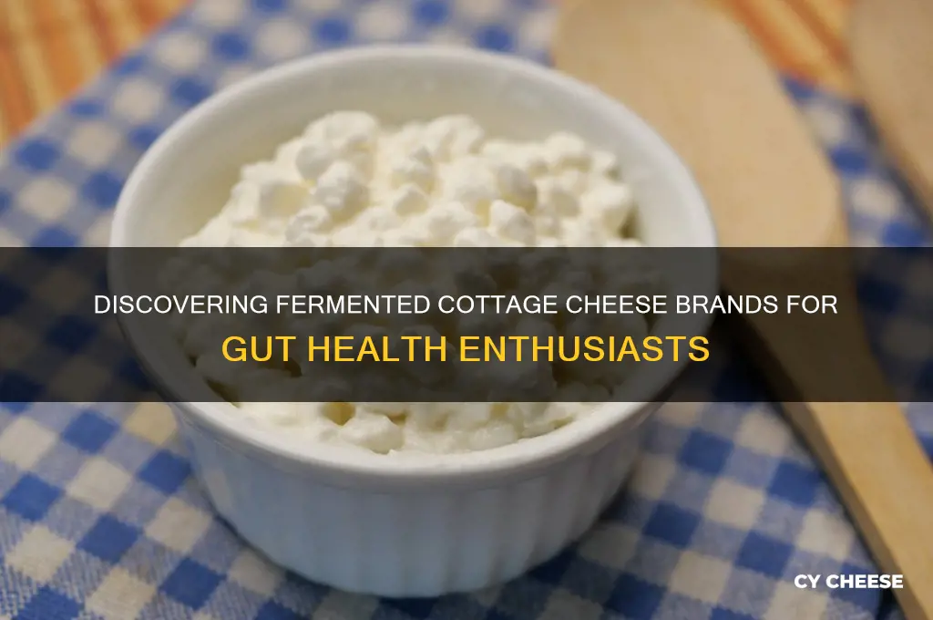 what brand of cottage cheese is fermented