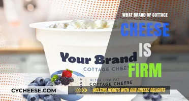 Discover the Firmest Cottage Cheese Brands for Your Recipes
