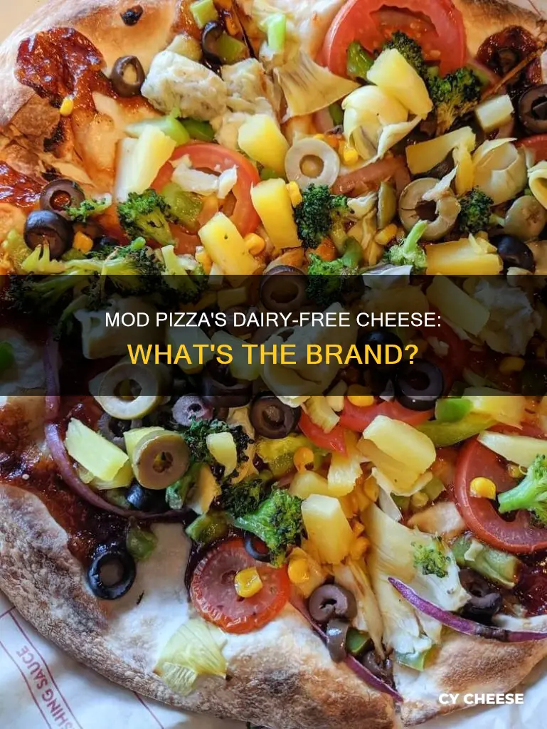 what brand of dairy free cheese does mod use