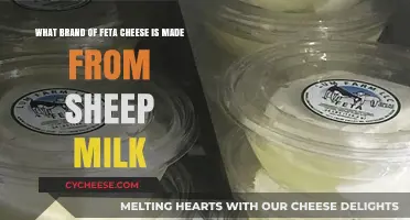 Sheep's Milk Feta: Exploring the Best Brands and Their Unique Flavors