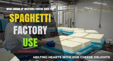 Spaghetti Factory's Mizithra Cheese: What's the Brand?