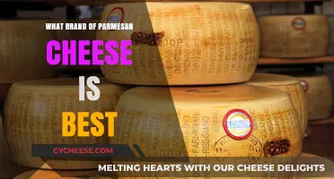 Parmesan Cheese: Which Brand Reigns Supreme?