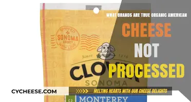Discovering Authentic Organic American Cheese: Unprocessed Brands to Trust