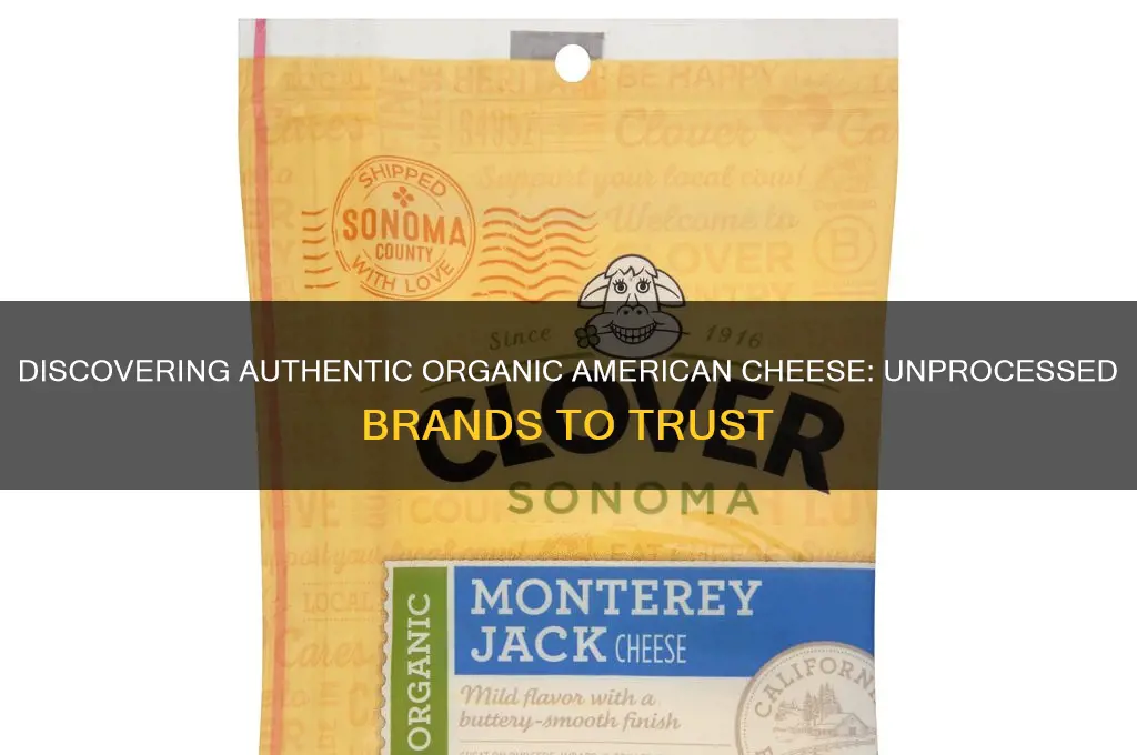 what brands are true organic american cheese not processed