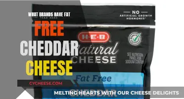 Exploring Fat-Free Cheddar: Which Brands Deliver the Goods?